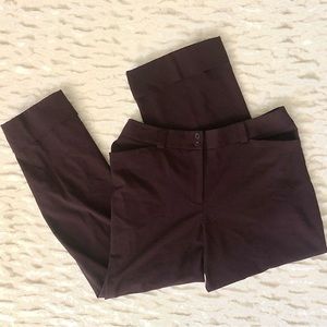 LANE BRYANT Purple Women’s Trousers, Size 16